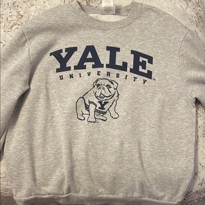 Gray Crewneck Sweater with Yale Design